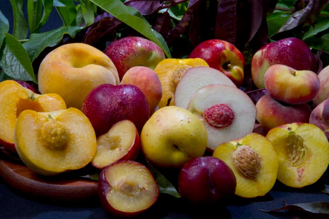 Frutas de caroço